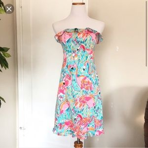 Lilly Pulitzer Franco dress 2